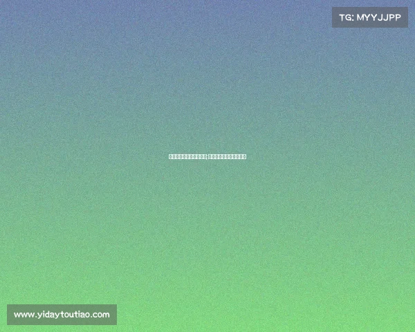 电子竞技领头羊什么意思;电子竞技的领队是干嘛的